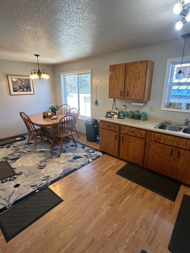 303 Lincoln St SE, Warroad, MN 56763 - photo 6