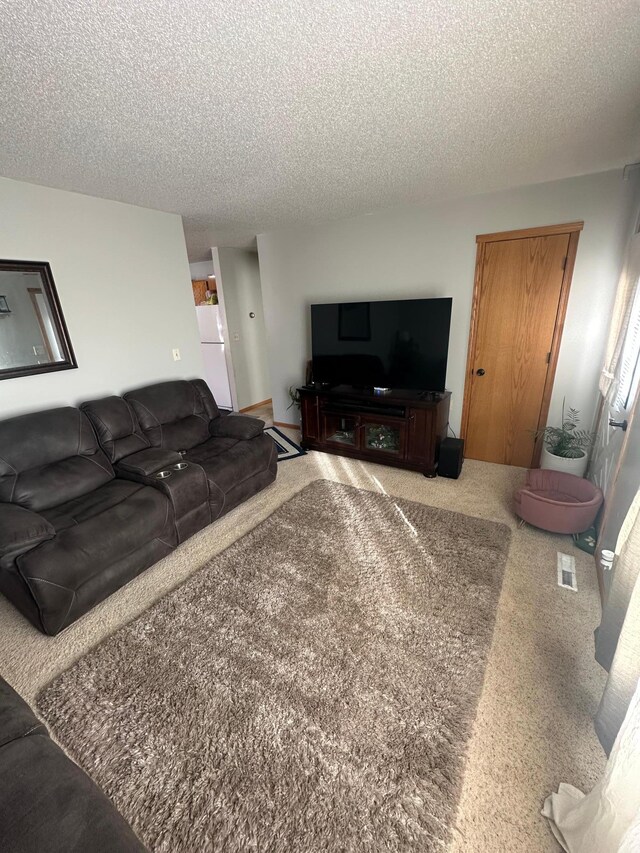 303 Lincoln St SE, Warroad, MN 56763 - photo 9