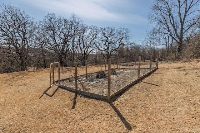 view of yard with a garden and a rural view