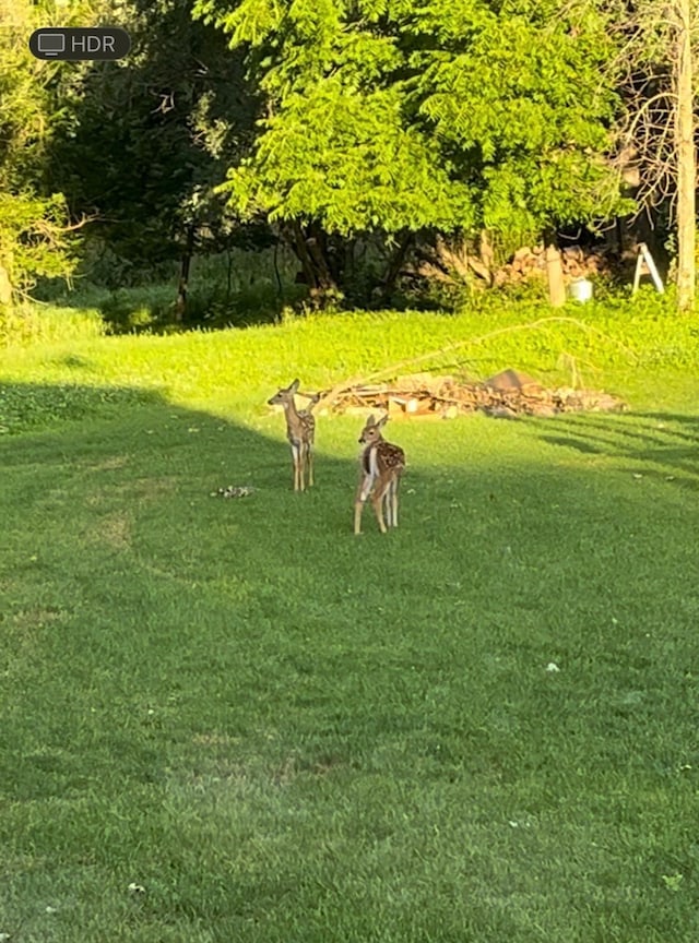 view of home's community with a lawn