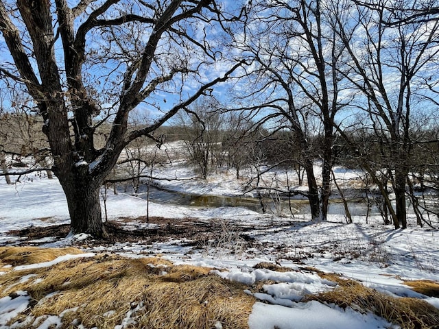 view of yard covered in snow