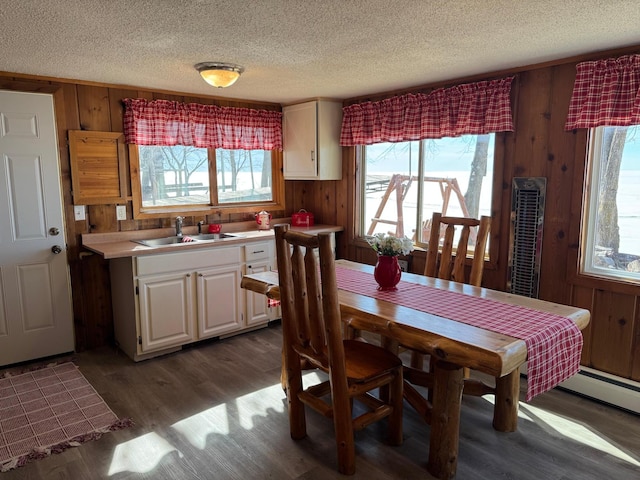 20455 326th Ave, Isle, MN 56342 - dining space featuring dark wood-style floors, wooden walls, and a textured ceiling