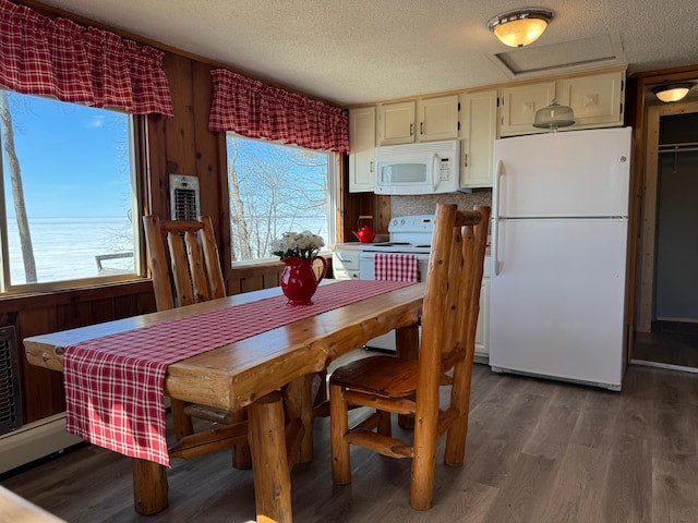 20455 326th Ave, Isle, MN 56342 - dining space with a wealth of natural light, a textured ceiling, and dark wood-type flooring
