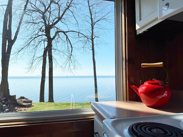 20455 326th Ave, Isle, MN 56342 - interior space featuring a water view and a wealth of natural light