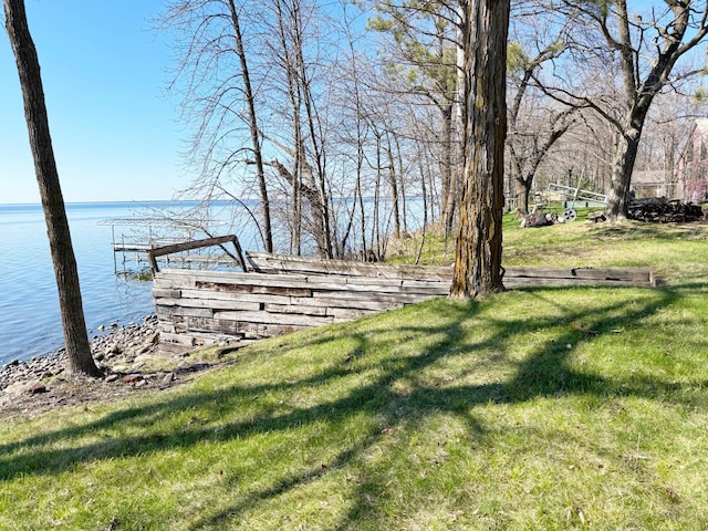 20455 326th Ave, Isle, MN 56342 - view of yard featuring a water view