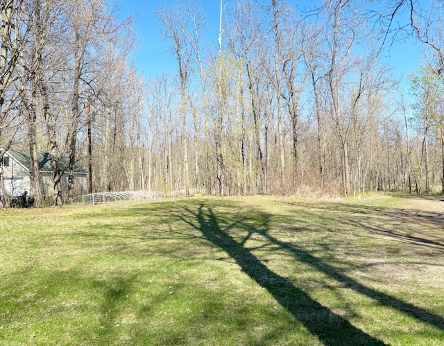 20455 326th Ave, Isle, MN 56342 - view of yard featuring a view of trees