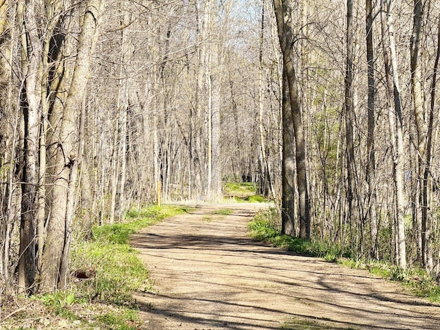 20455 326th Ave, Isle, MN 56342 - view of road with a forest view