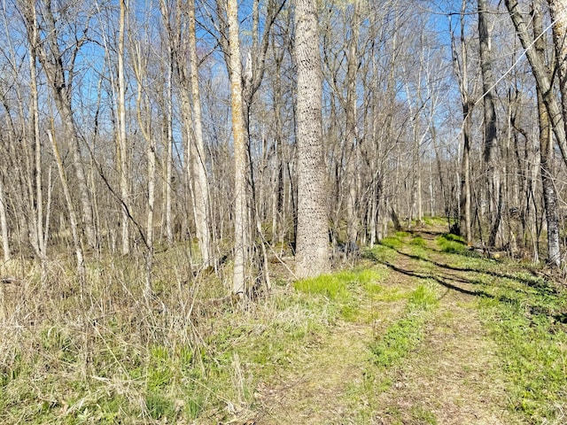 20455 326th Ave, Isle, MN 56342 - view of landscape