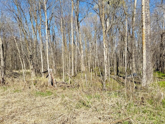 20455 326th Ave, Isle, MN 56342 - view of local wilderness