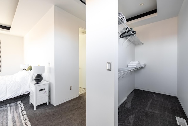 spacious closet with visible vents, a raised ceiling, and carpet flooring