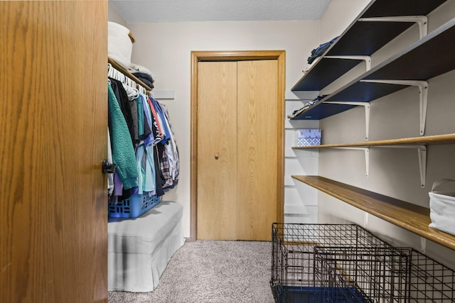 walk in closet featuring carpet floors