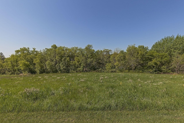 view of nature with a forest view