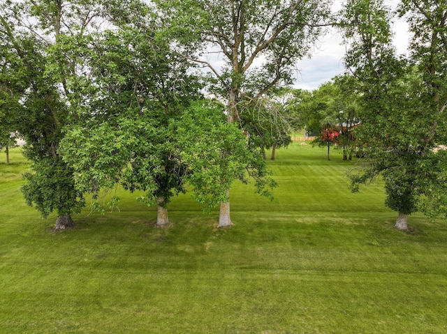 TBDLOTS5 State St, Villard, MN 56385 - photo 10