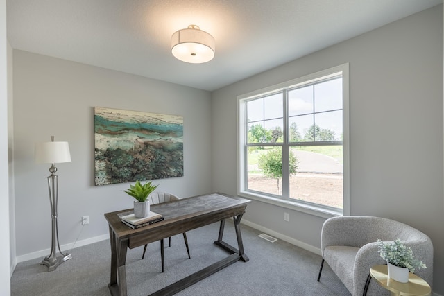 9176 62nd St S, Cottage Grove, MN 55016 - carpeted office space with baseboards