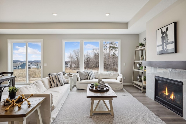 9184 62nd St S, Cottage Grove, MN 55016 - living room with a premium fireplace, wood finished floors, and recessed lighting