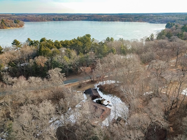 birds eye view of property featuring a water view and a view of trees