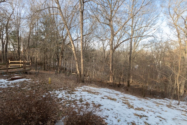 snowy landscape with a forest view