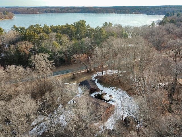 drone / aerial view with a wooded view and a water view