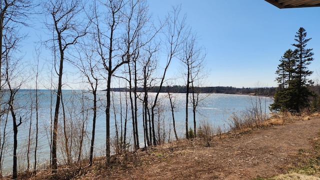 property view of water
