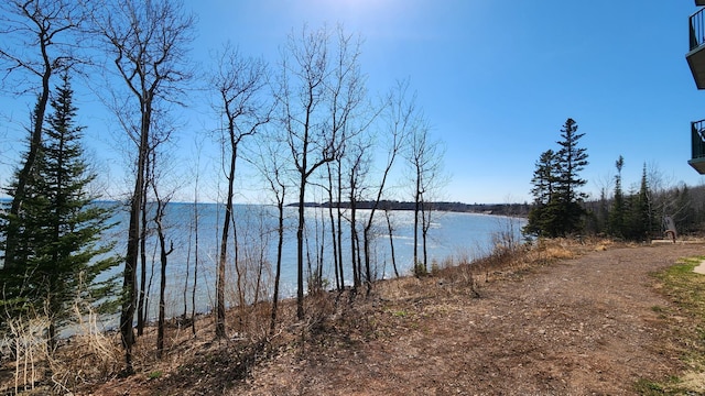 property view of water