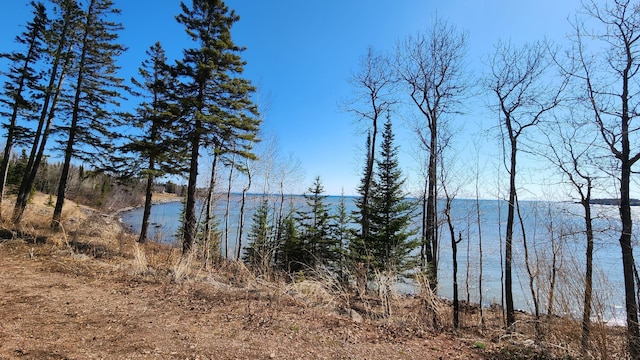 property view of water