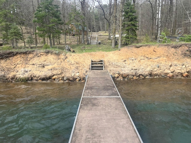 dock area with a view of trees