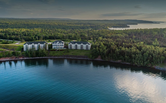 aerial view featuring a wooded view and a water view