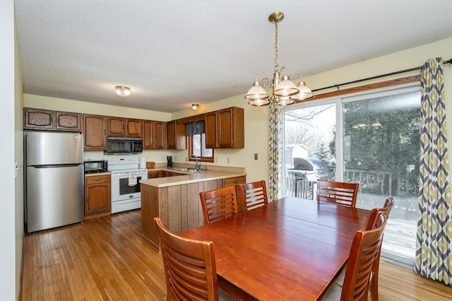 dining room with a healthy amount of sunlight, a textured ceiling, and hardwood / wood-style flooring