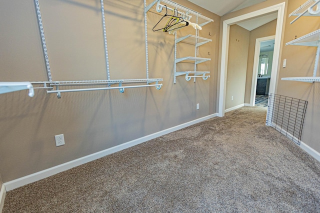 spacious closet featuring lofted ceiling and carpet