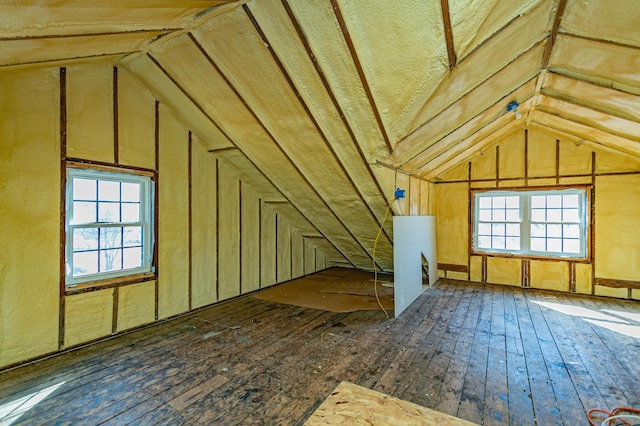 attic featuring plenty of natural light