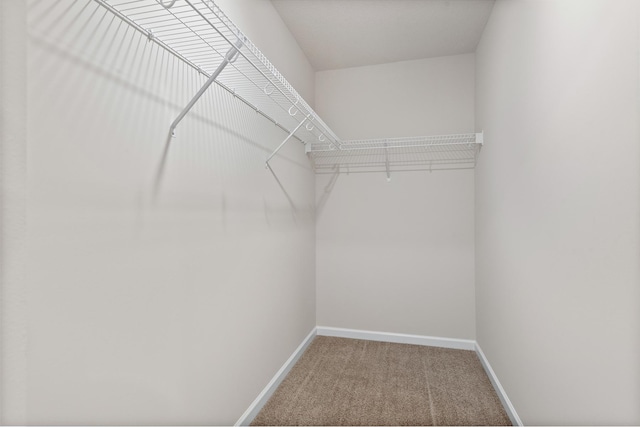 spacious closet with carpet flooring