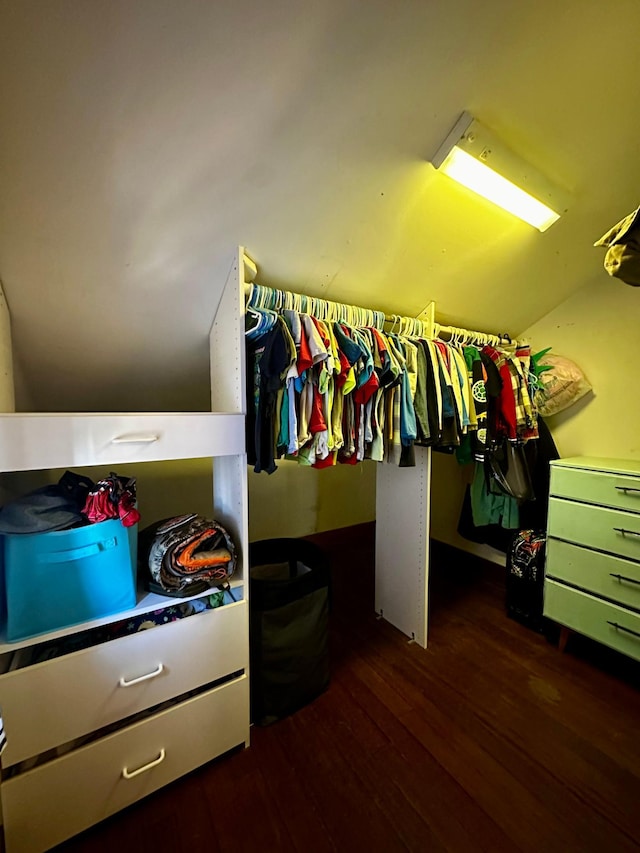 spacious closet featuring wood finished floors