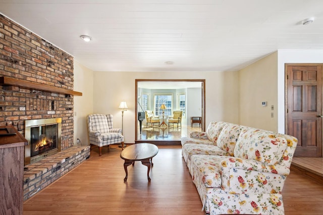 living room featuring a fireplace and wood finished floors