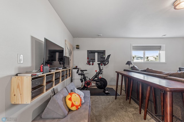 playroom featuring baseboards and carpet floors