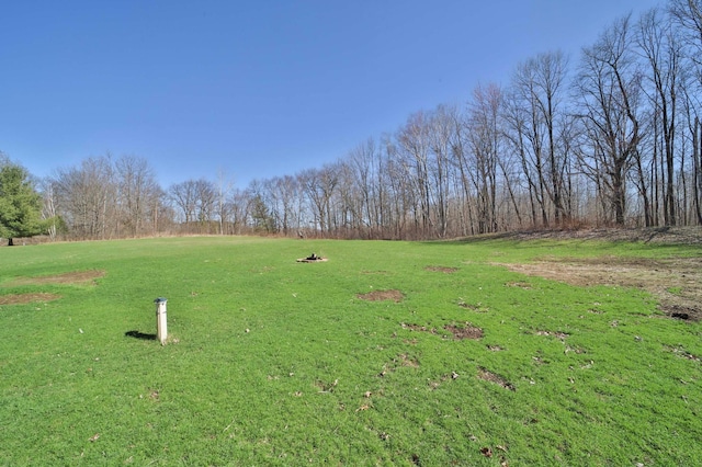 view of property's community with a lawn