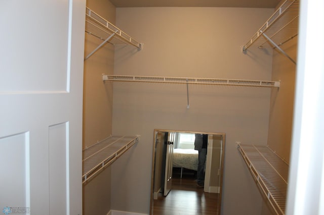 spacious closet with wood finished floors