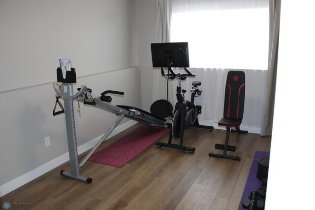 exercise room featuring wood finished floors, baseboards, and a healthy amount of sunlight