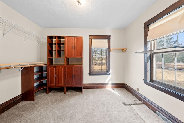 walk in closet with light carpet