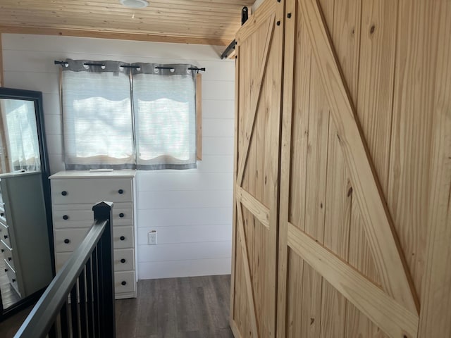 hallway with a barn door, dark wood-type flooring, wood ceiling, and wood walls