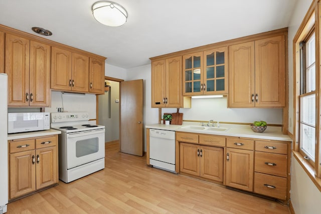 kitchen featuring light wood finished floors, light countertops, plenty of natural light, white appliances, and a sink