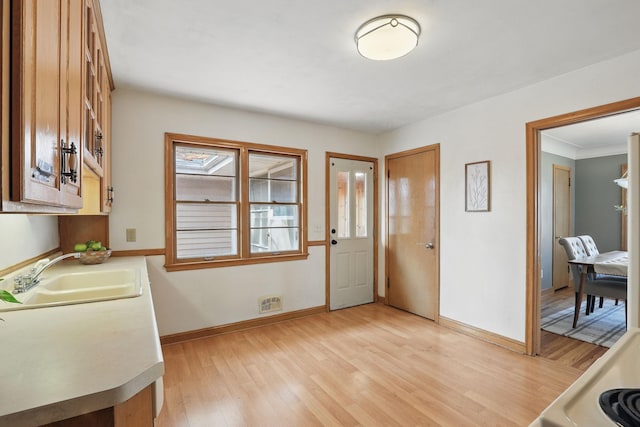 interior space featuring light countertops, light wood-style flooring, baseboards, and a sink