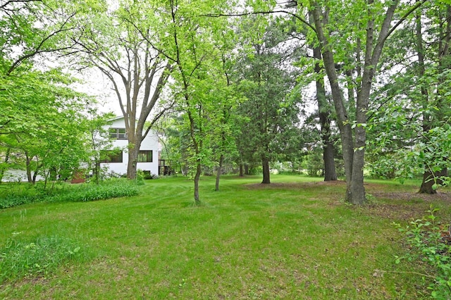 21414 Tulip St NW, Oak Grove, MN 55303 - view of green lawn