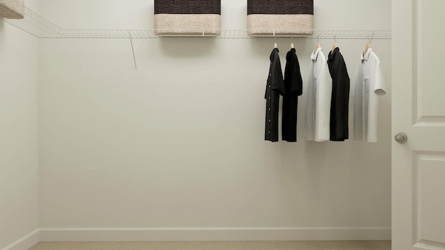 view of walk in closet