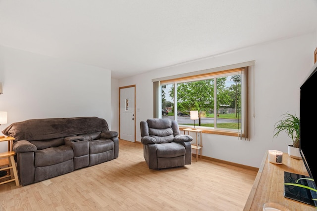 10221 Flamingo St NW, Coon Rapids, MN 55433 - photo 9