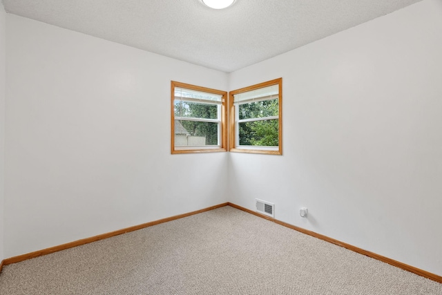 10221 Flamingo St NW, Coon Rapids, MN 55433 - photo 18