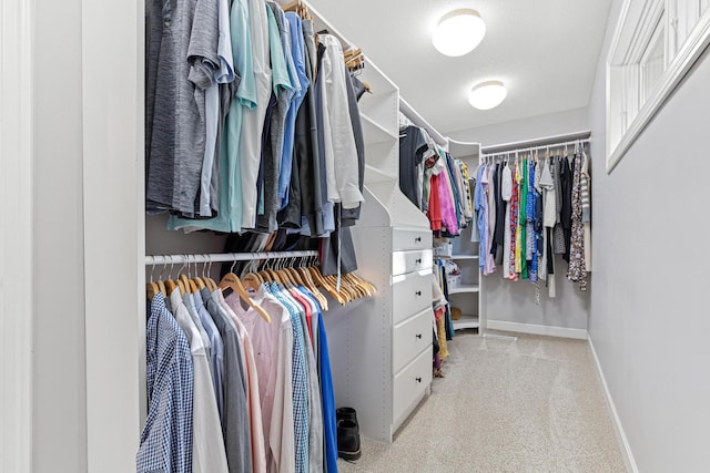 spacious closet with carpet