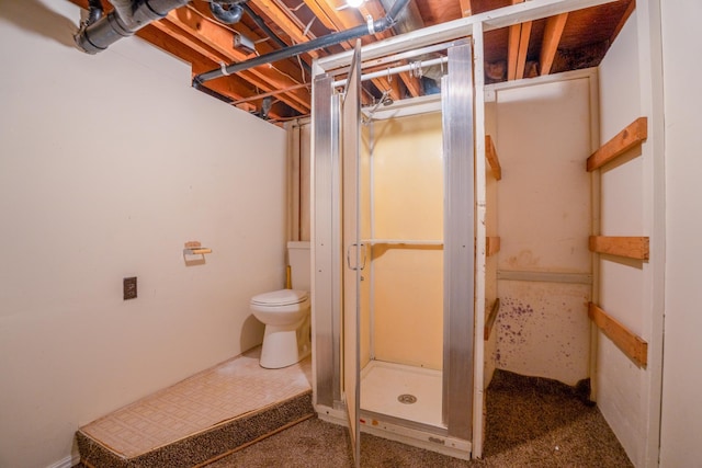 full bath featuring a shower stall and toilet