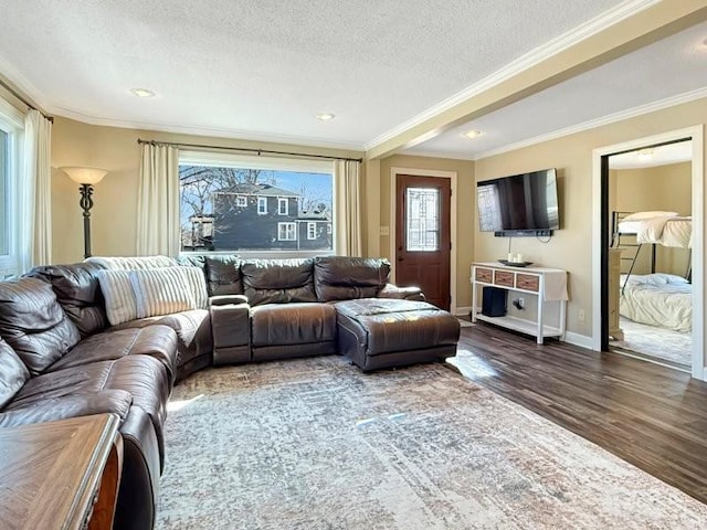 living room with a textured ceiling, crown molding, baseboards, and wood finished floors