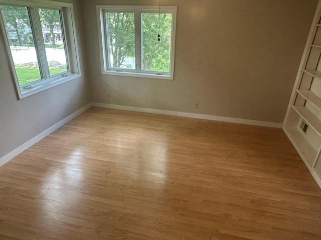 338 S St, Owatonna, MN 55060 - empty room featuring plenty of natural light and light wood finished floors
