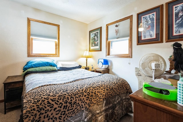 carpeted bedroom featuring multiple windows and a textured ceiling